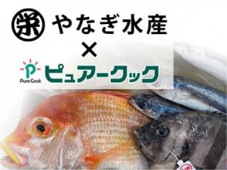 浜田のお魚冬ギフト承ります